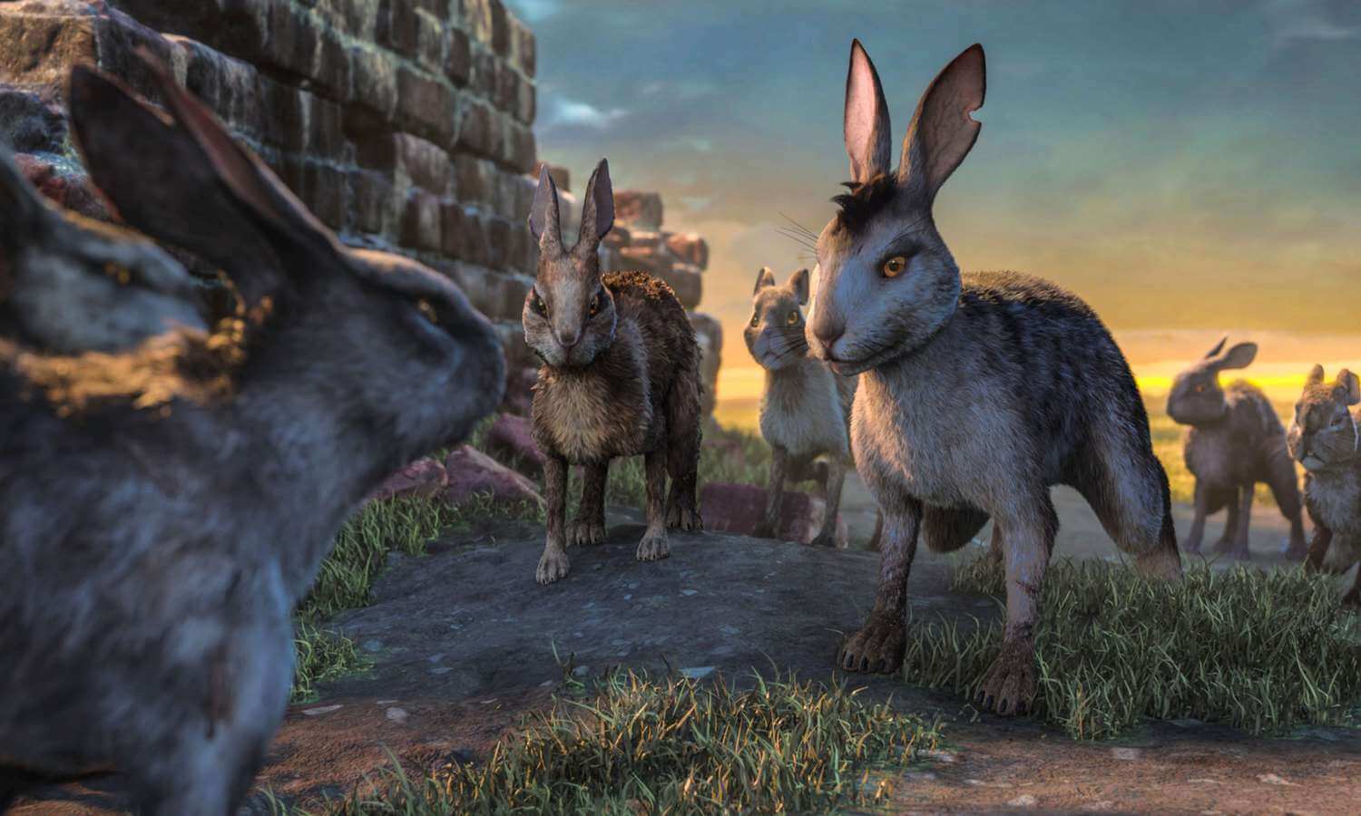 Watership Down: Tepeye Giden Zorlu Yolculuğun Hikayesi