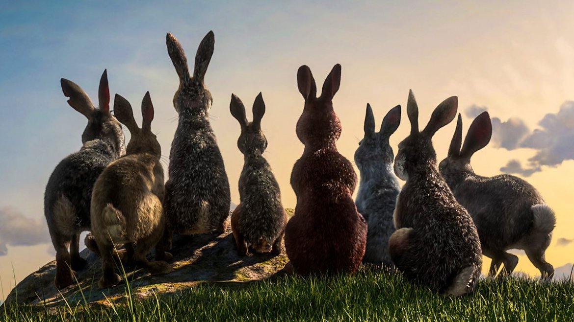 Watership Down: Tepeye Giden Zorlu Yolculuğun Hikayesi