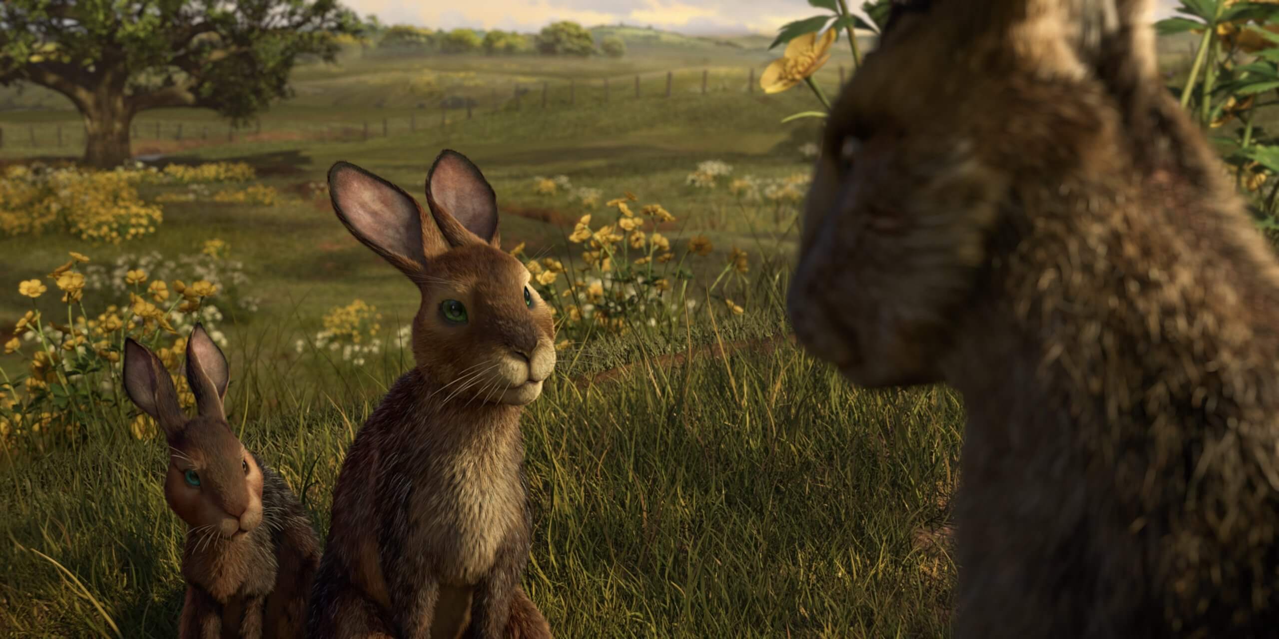 Watership Down: Tepeye Giden Zorlu Yolculuğun Hikayesi
