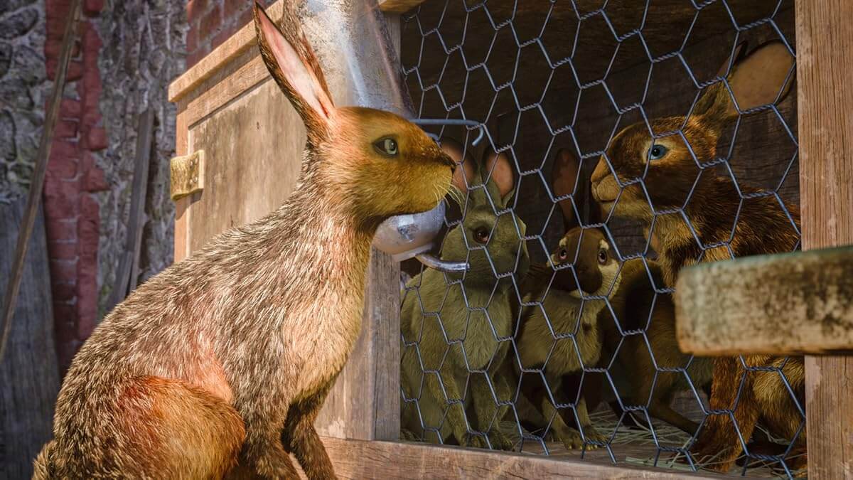 Watership Down: Tepeye Giden Zorlu Yolculuğun Hikayesi