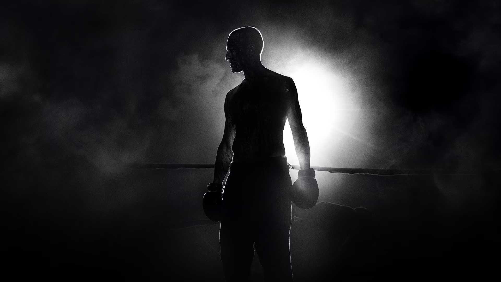 The Survivor: Dövüş Sanatı