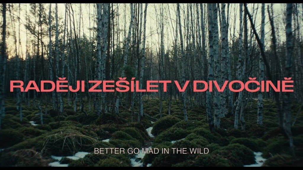 Better Go Mad in the Wild: Her Şeyden Uzakta Yaşamayı Anlama Sanatı