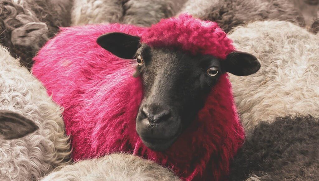 DJ Ahmet: Büyük Hayaller Küçük Baskılara Kafa Tutar