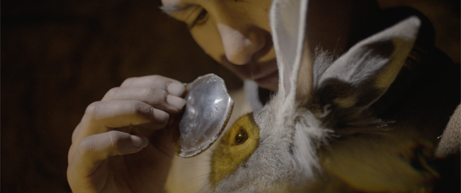 62. Uluslararası Altın Portakal Film Festivali: Kalpten Bir Seçki