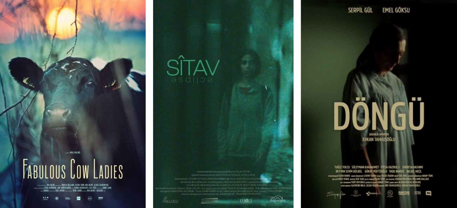 15. Hangi İnsan Hakları? Film Festivali: Perde Bugün "Hakikat" İçin Açılıyor