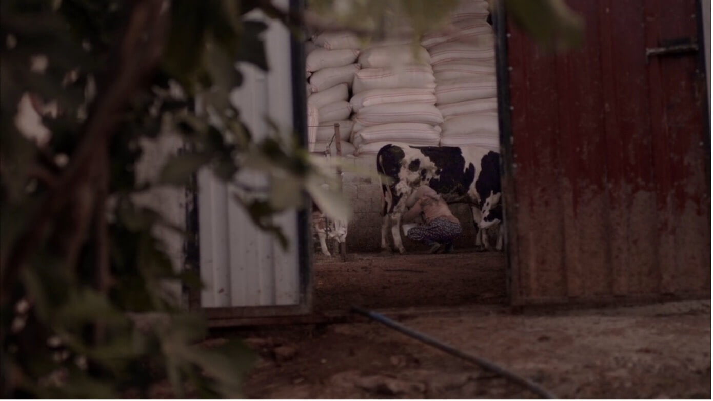 Yaramaz Çocuklar: Tohumdan Ağaca Bir Özgürlük Mücadelesi