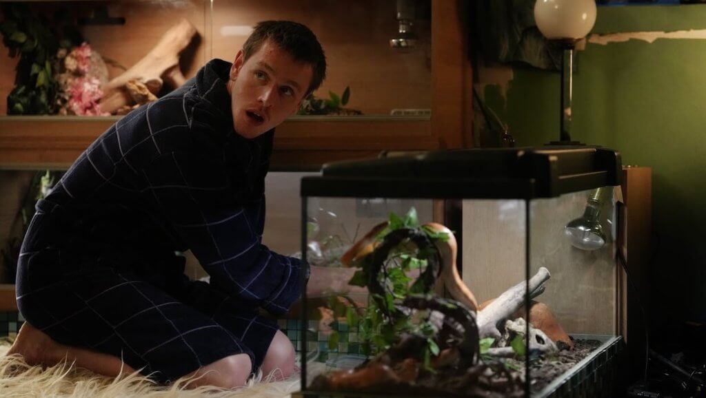 Urchin: Sistemin Kör Noktasına Yakın Plan