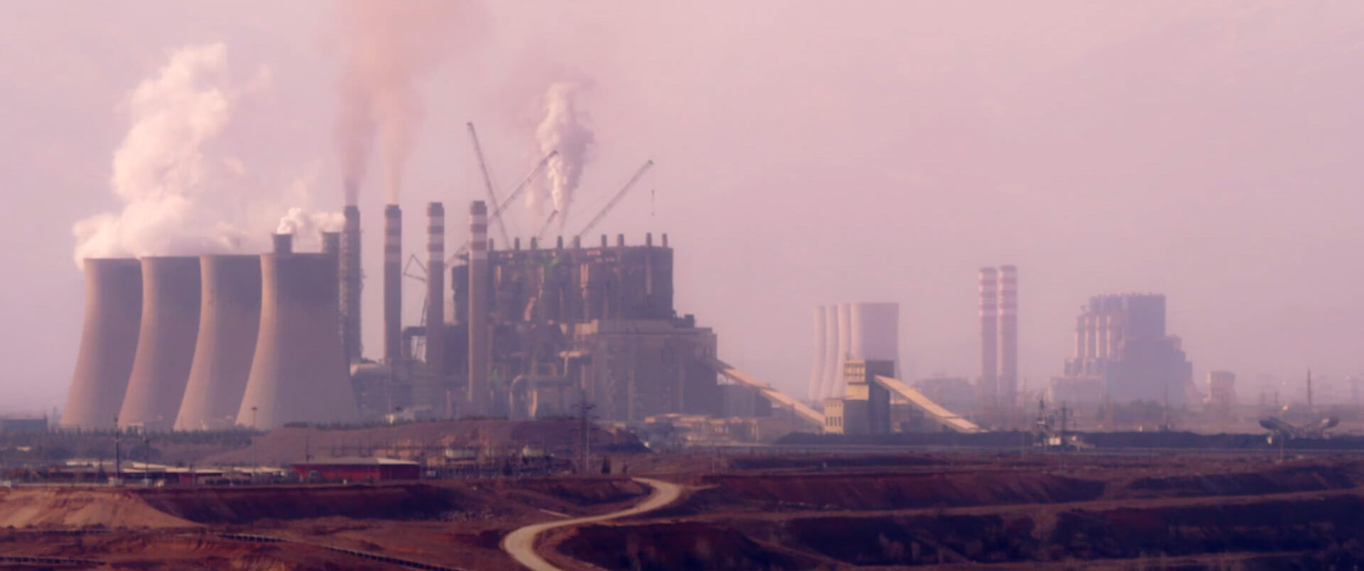 Yavaş Ölüm: Bir Ekolojik Felaketin Sessiz Tanıklığı