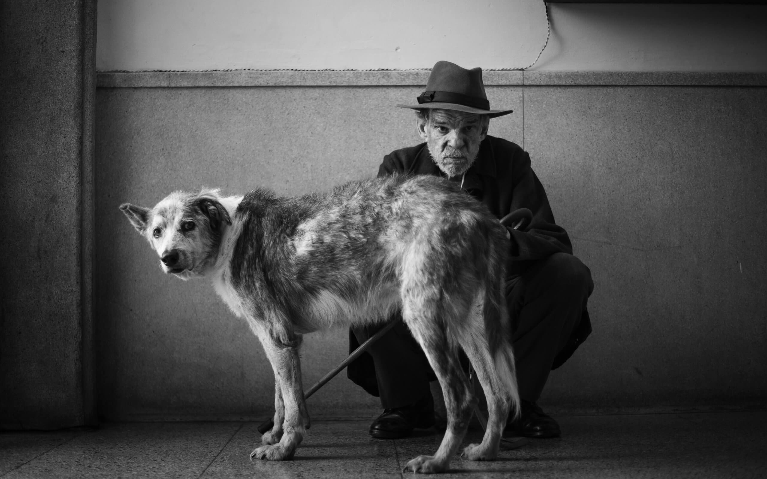 François Ozon'un The Stranger filminde Denis Lavant'ın canlandırdığı Salamano karakteri ve köpeği