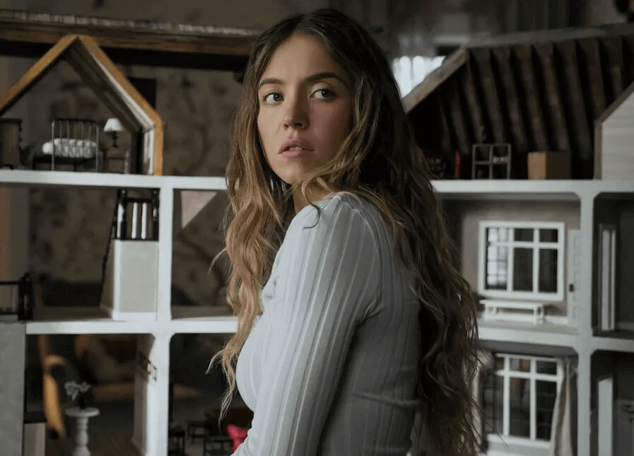 The Housemaid: Çatıdaki Sinirli Kadın