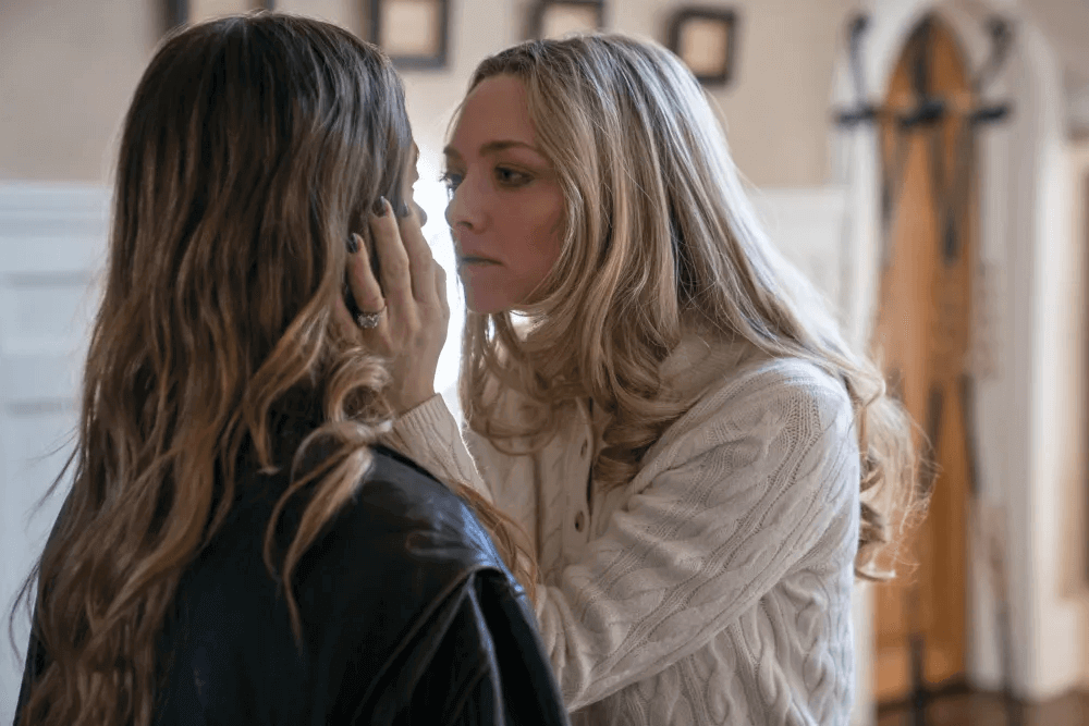 The Housemaid: Çatıdaki Sinirli Kadın