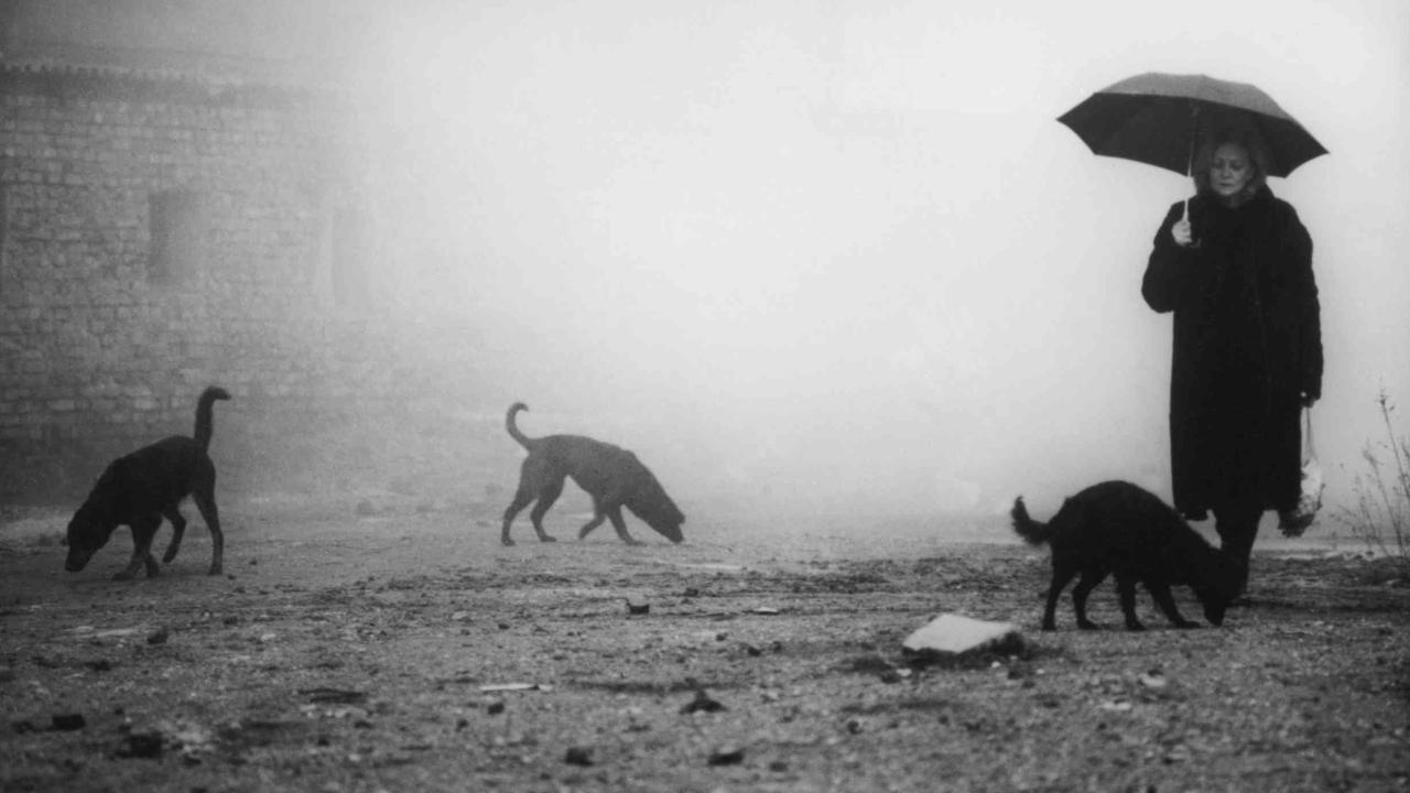 Only Lovers Left Alive (2013) filmi