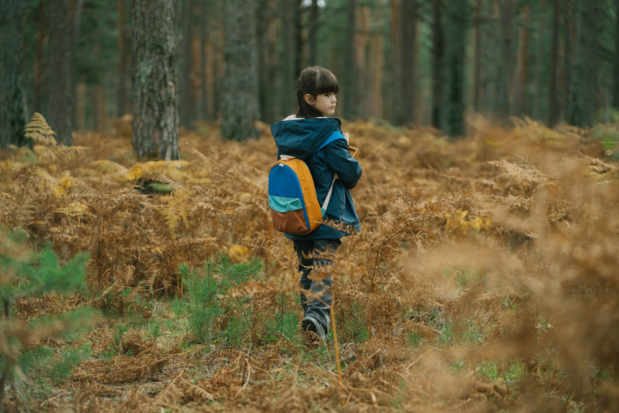 Firebreak: Alevler mi Daha Tehlikeli İnsan mı?