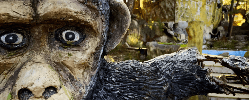 Hiçbir Şey Normal Değil: Başka Bir Dünya Keşfetmeye Hazır mısınız?