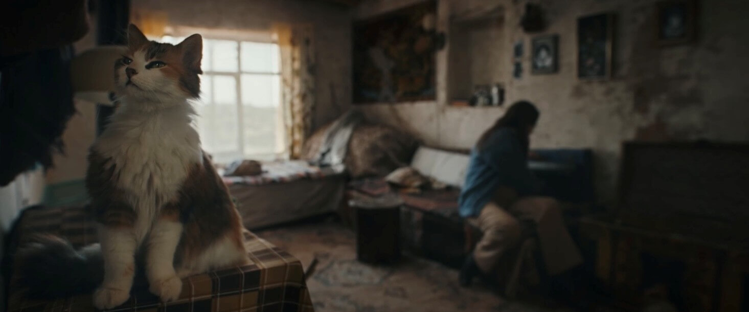 Günyüzü: Köyde Gömüler Gerçekler