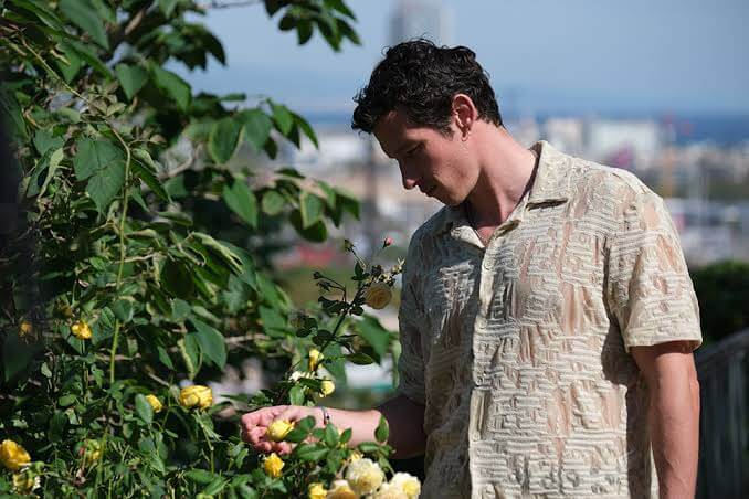 Rosebush Pruning: Gül, Diken, Muz, Kavun