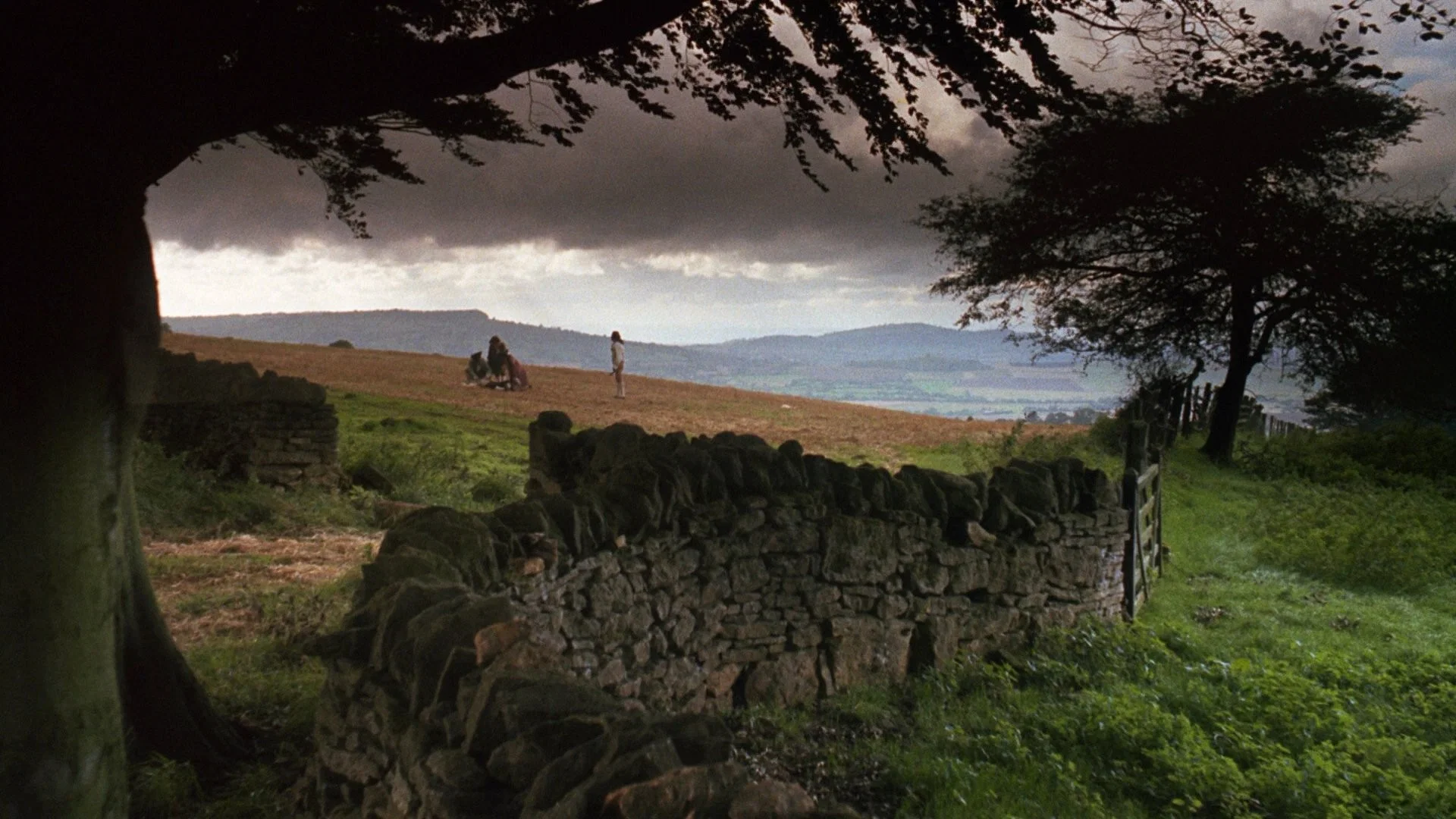 Barry Lyndon: Yükselirken Düşmek